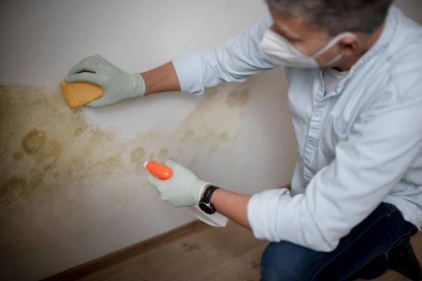 Best Emergency Mold Remediation  in Huron, CA